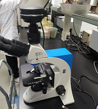 生物显微镜ML41.jpg