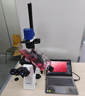 细胞工厂显微MI52-CF.jpg