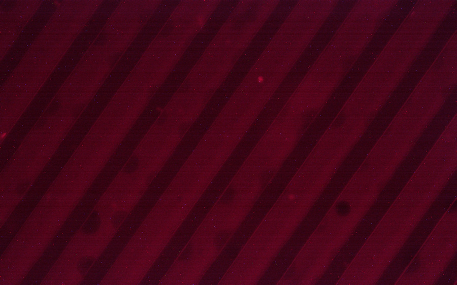 BG_Fluo_12.jpg