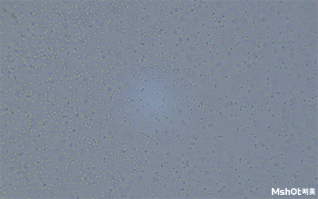 2020032403.jpg