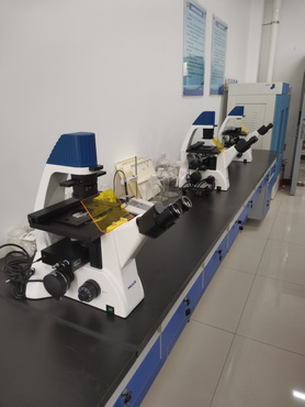 荧光生物显微镜MF52-M_4.jpg