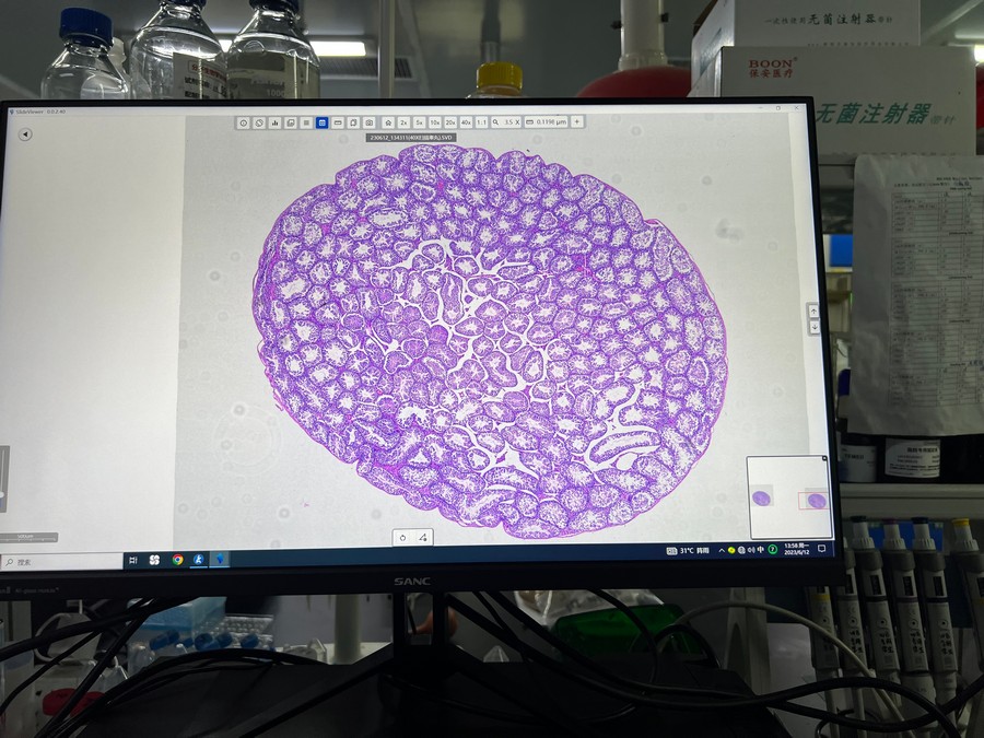 Pathology_04.jpg