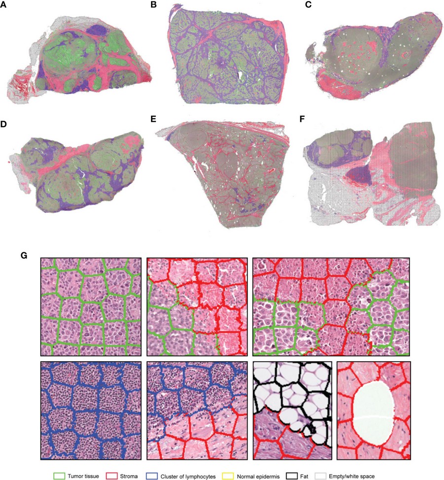 Pathology_06.jpg