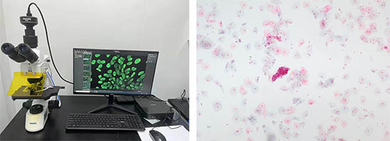 荧光生物显微镜.jpg 荧光生物显微镜.jpg